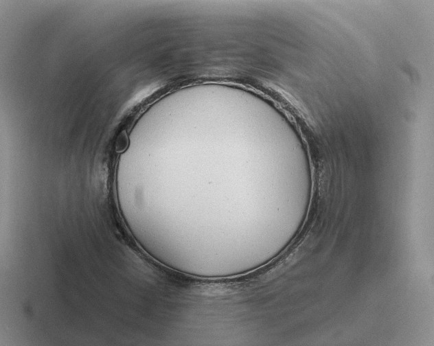 X0000116661402201001041101