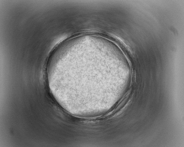 X0000116661405201001041101