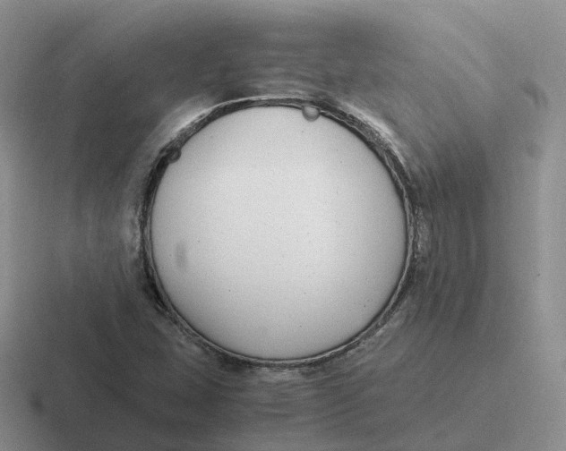 X0000116661407201001041101