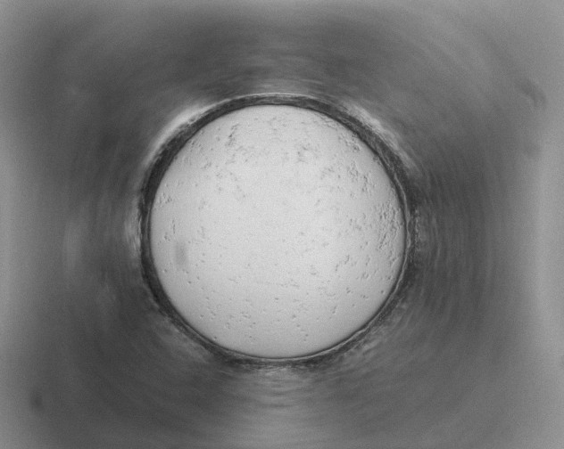 X0000116661408201001041101