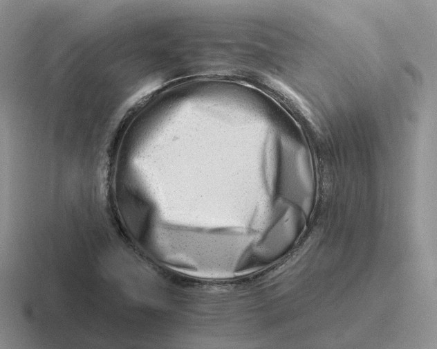 X0000116661411201001041101