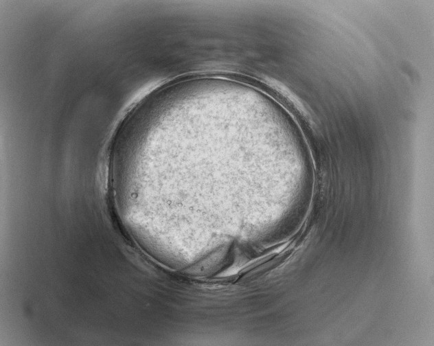 X0000116661413201001041101