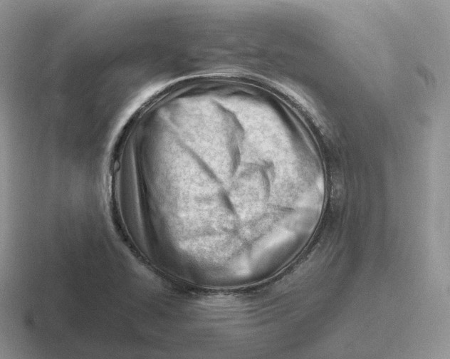 X0000116661414201001041101