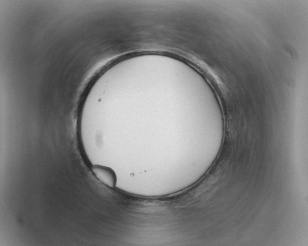 X0000116661416201001041101