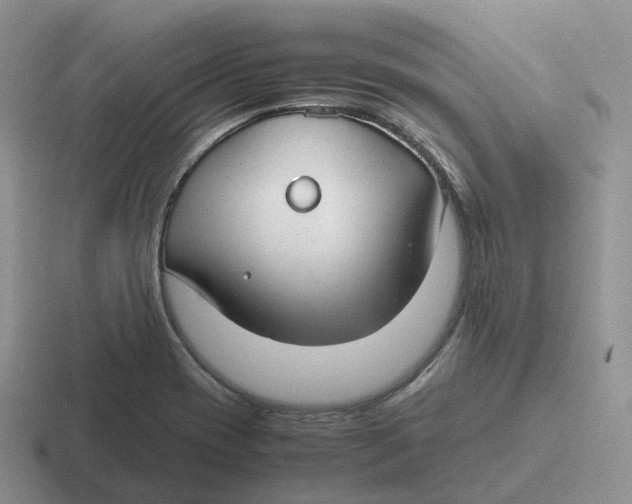 X0000116661417201001041101