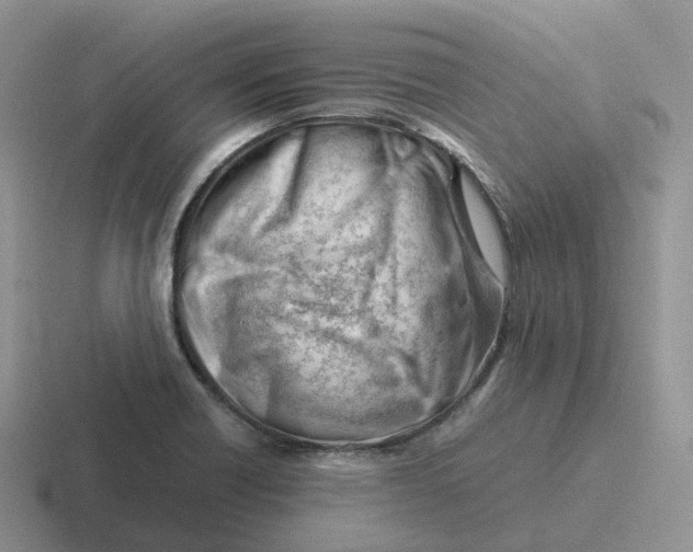 X0000116661418201001041101