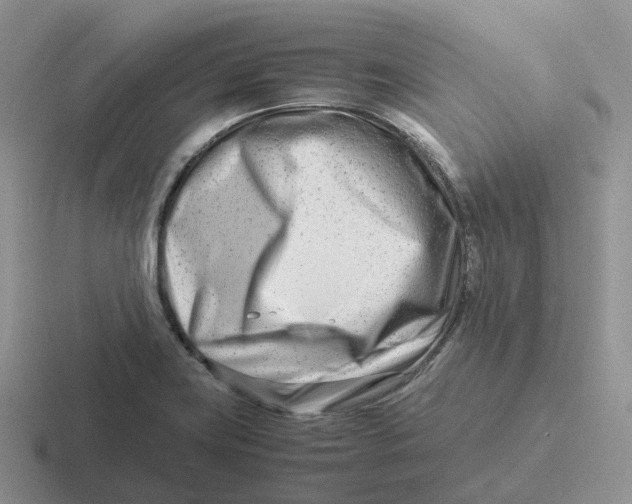 X0000116661419201001041101