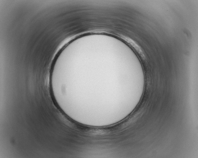 X0000116661420201001041101