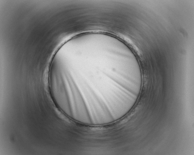 X0000116661421201001041101