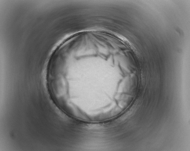 X0000116661422201001041101