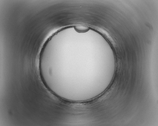 X0000116661424201001041101