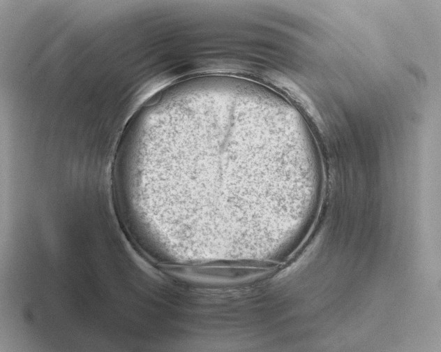 X0000116661425201001041101