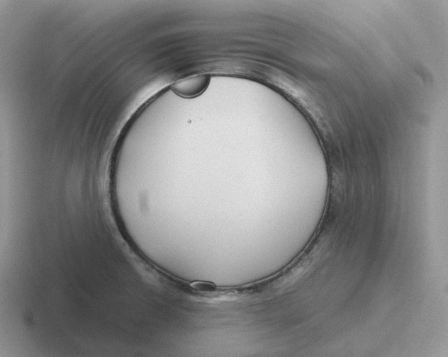 X0000116661426201001041101