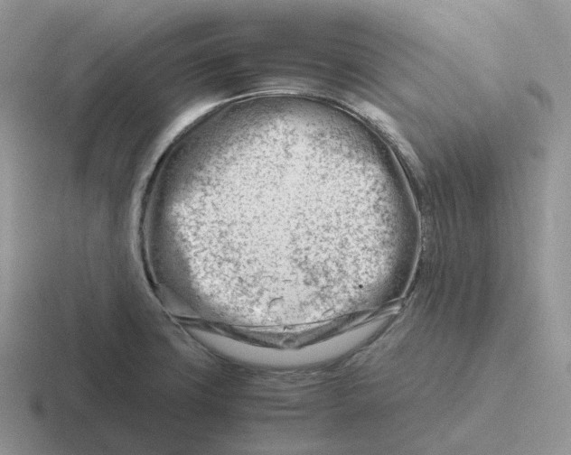 X0000116661427201001041101