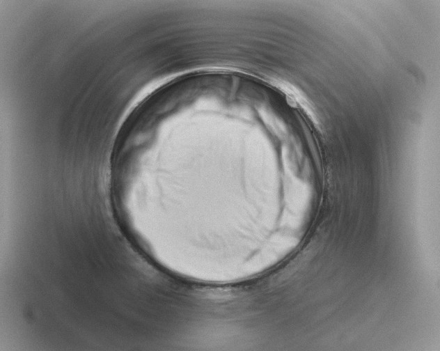 X0000116661428201001041101