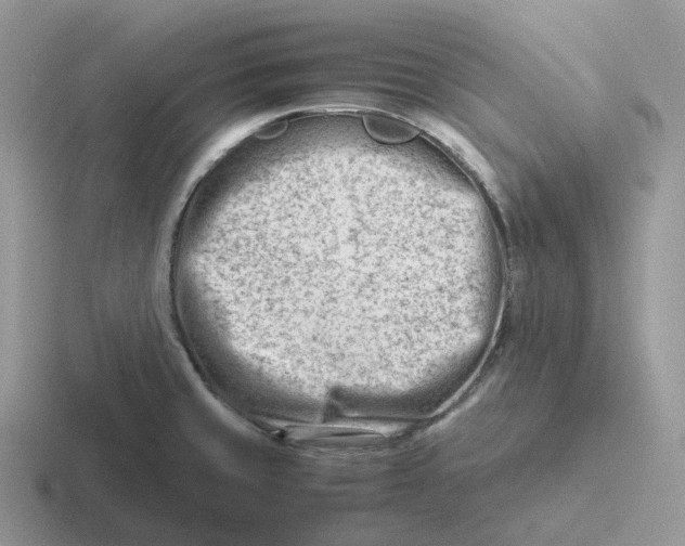 X0000116661429201001041101