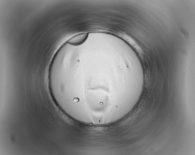 X0000116661431201001041101