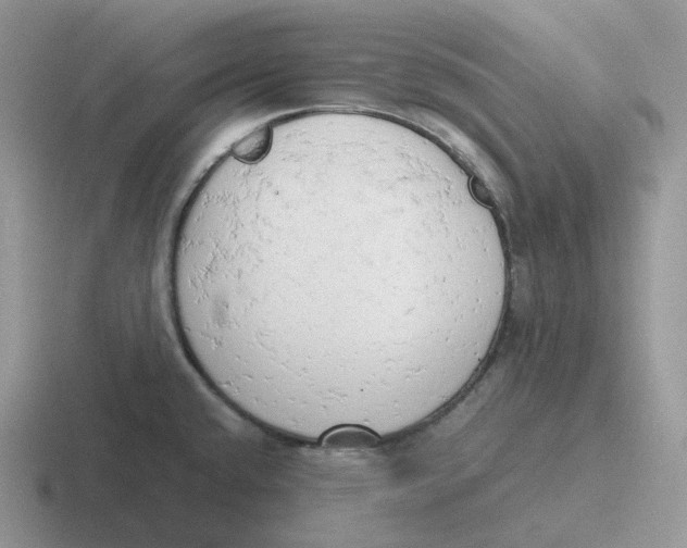 X0000116661432201001041101