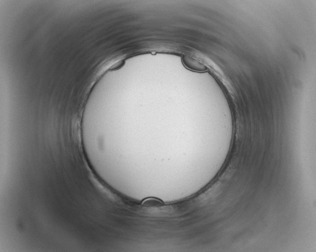 X0000116661433201001041101