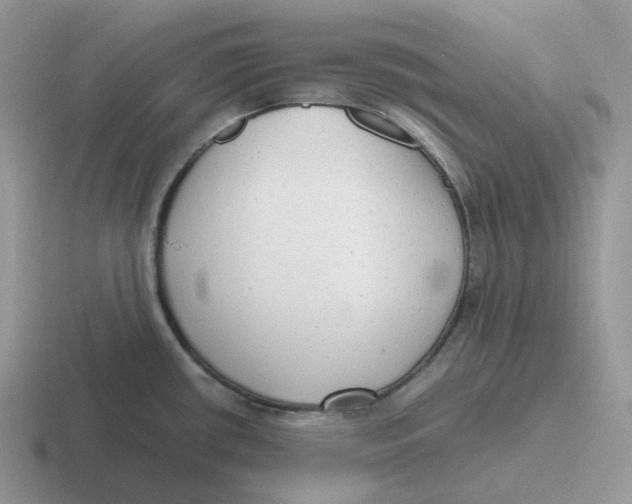 X0000116661434201001041101