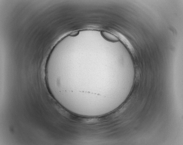 X0000116661435201001041101