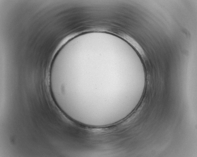 X0000116661436201001041101