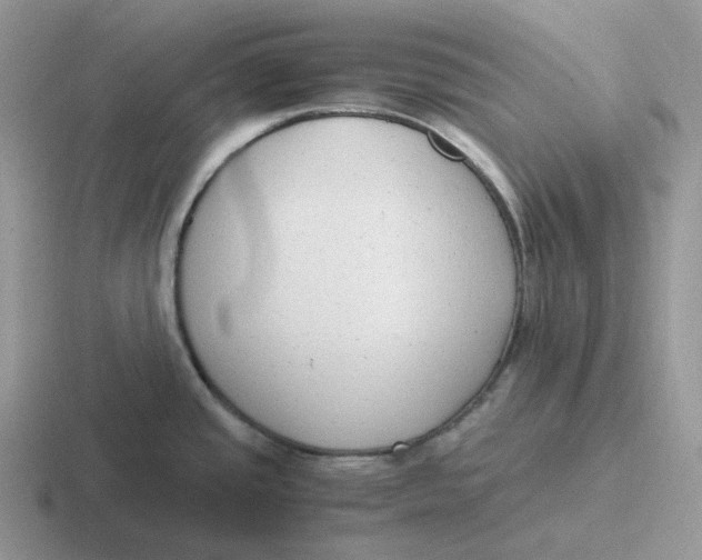 X0000116661437201001041101