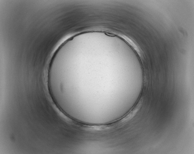 X0000116661438201001041101