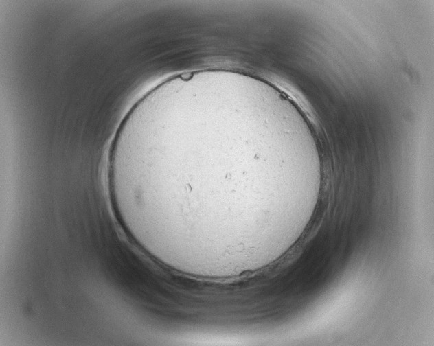 X0000116661439201001041101