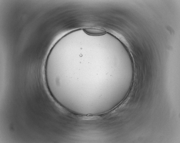 X0000116661440201001041101