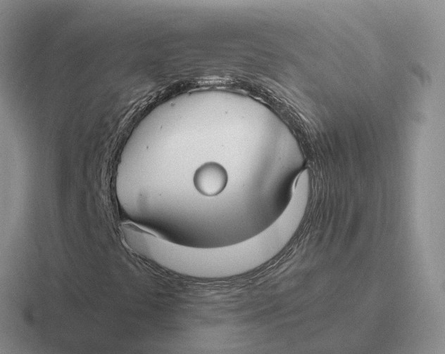 X0000116661441201001041100