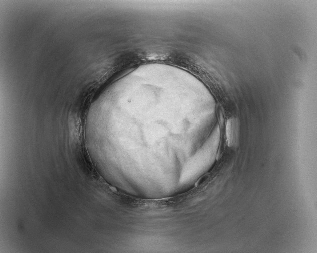 X0000116661443201001041100