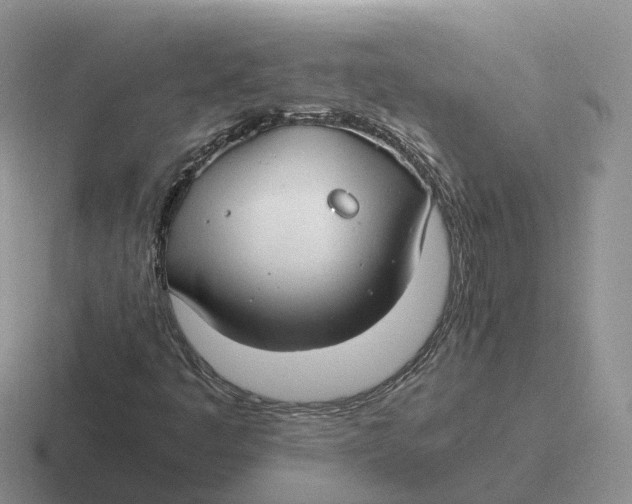 X0000116661445201001041100