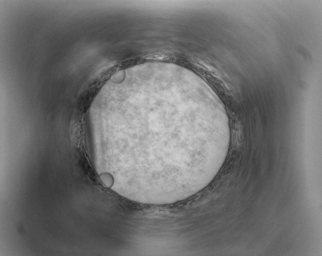 X0000116661446201001041100