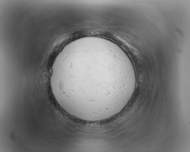 X0000116661447201001041100