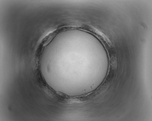 X0000116661448201001041100