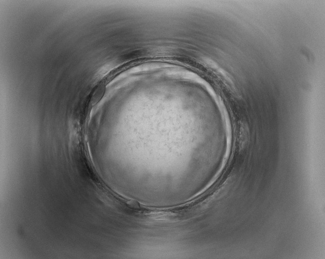 X0000116661449201001041100