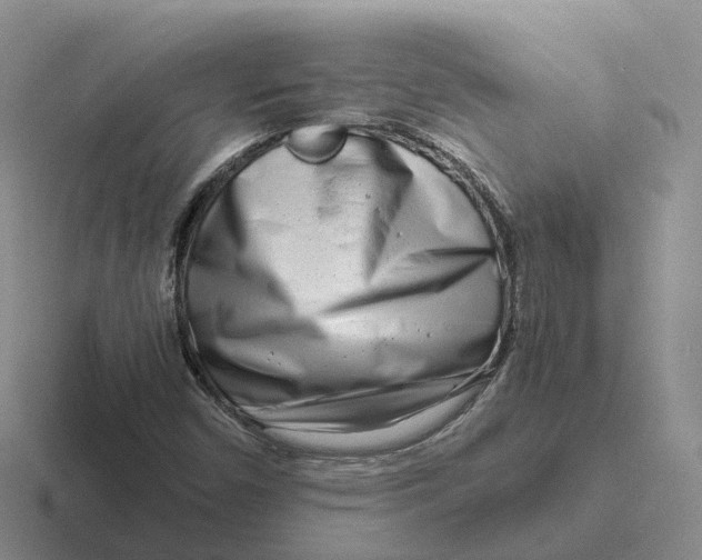 X0000116661450201001041100