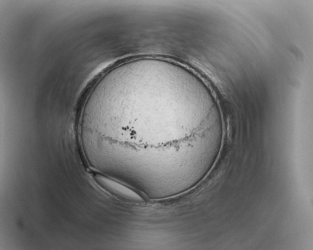 X0000116661452201001041100