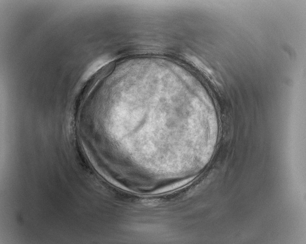 X0000116661453201001041100