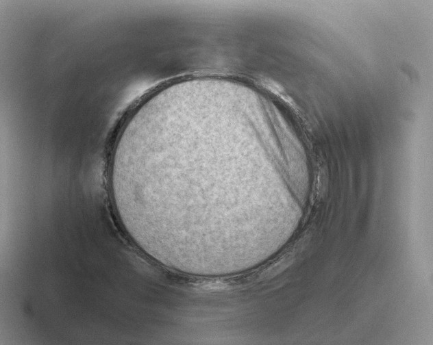 X0000116661454201001041100