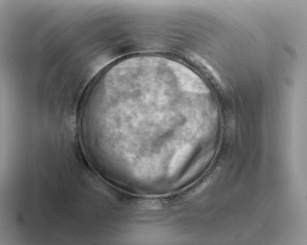 X0000116661457201001041100