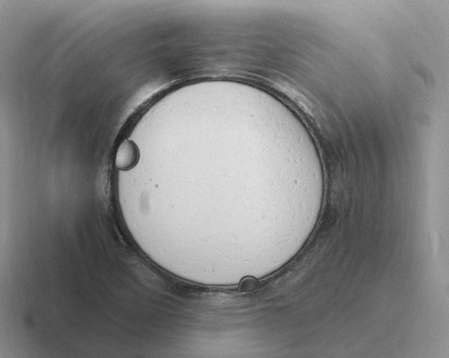 X0000116661458201001041100