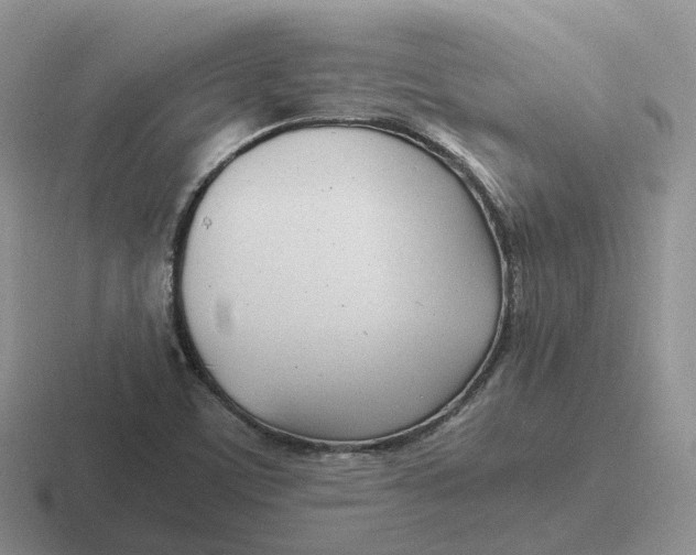 X0000116661459201001041100