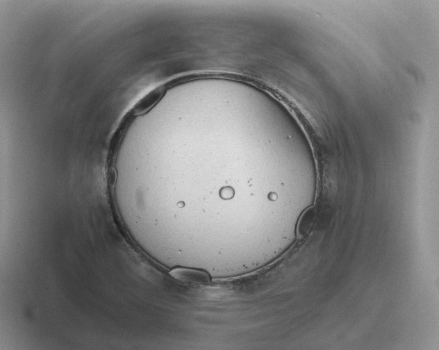 X0000116661460201001041100