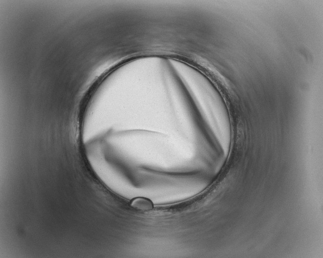 X0000116661461201001041100