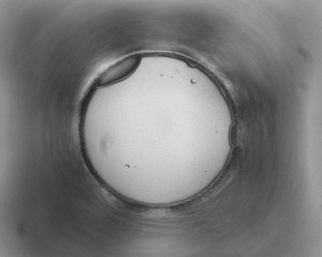 X0000116661464201001041100