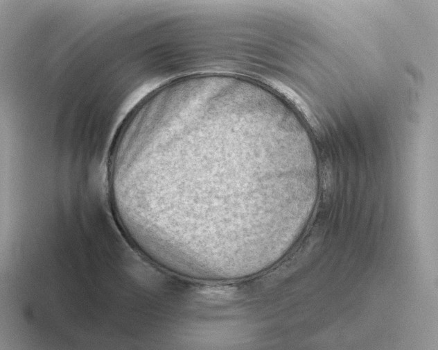 X0000116661466201001041100