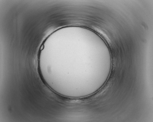 X0000116661467201001041100