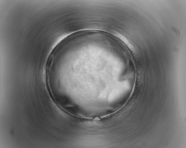 X0000116661468201001041100